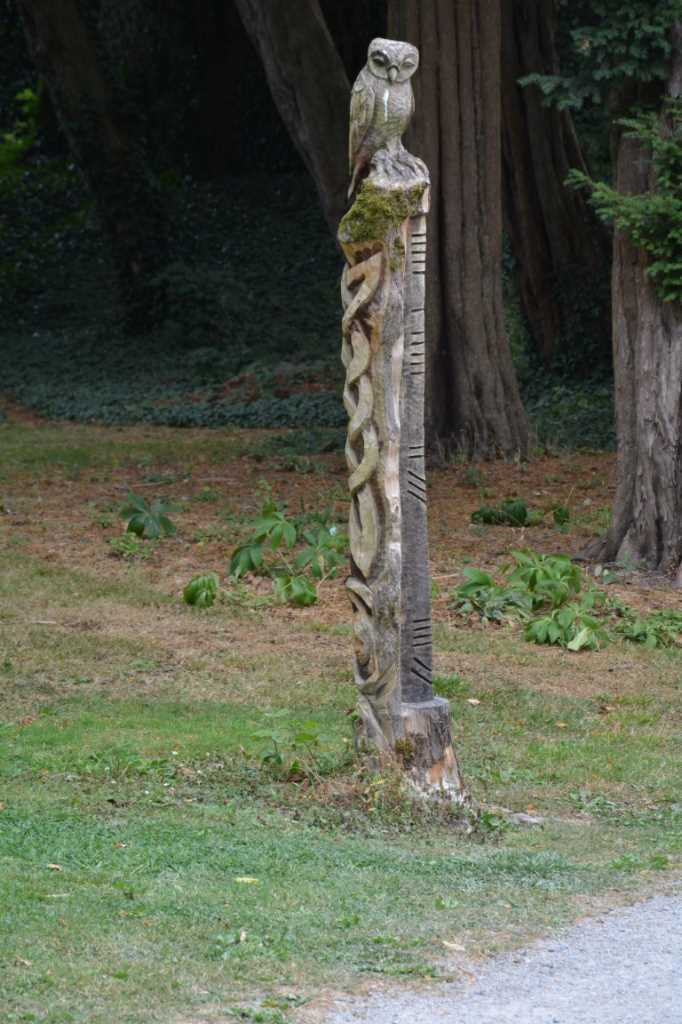 DSC_5837Mittel_.JPG